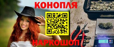 гидропоника Пенза