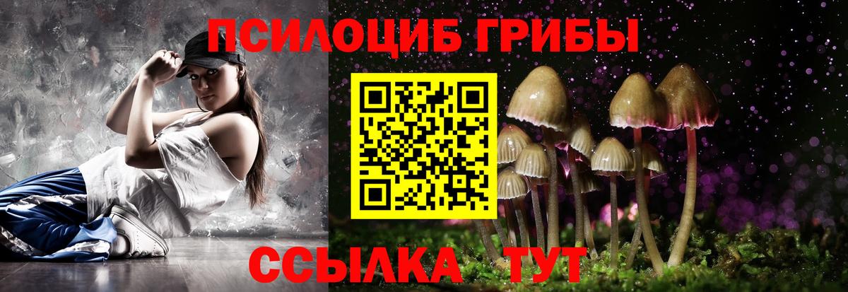 Псилоцибиновые грибы Psilocybe Сальск